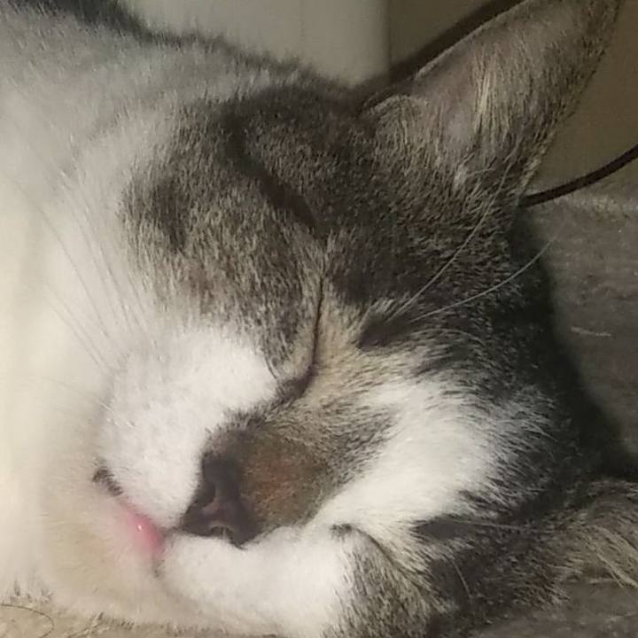 61436c8a b7a1 428c 9818 7d47f1ee4d02 1625297556664