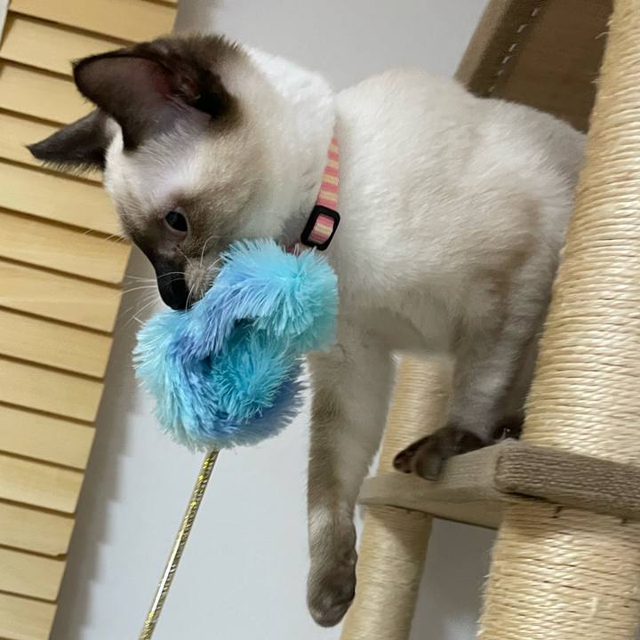 6143ea4c f7d7 4791 9376 c94795a27ebd 1694028881538