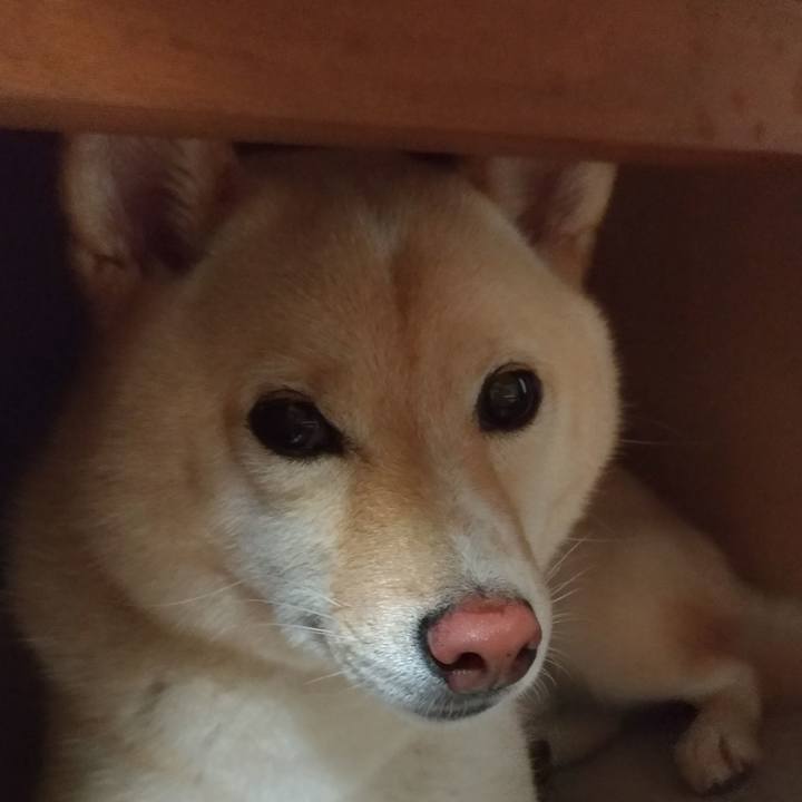 61440816 986e 43b4 91bf e765385e7618 1566643370490