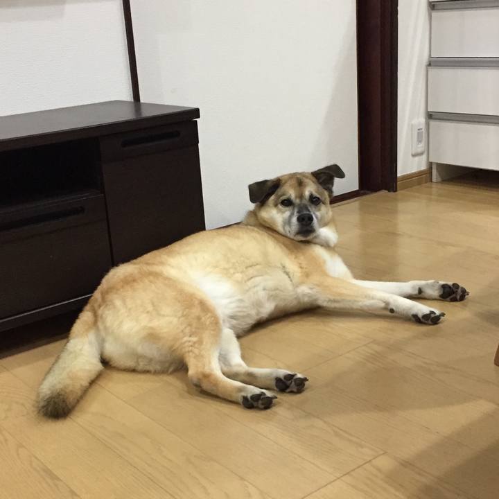 61448678 00d7 4684 b422 c6576e889870 1597405542480