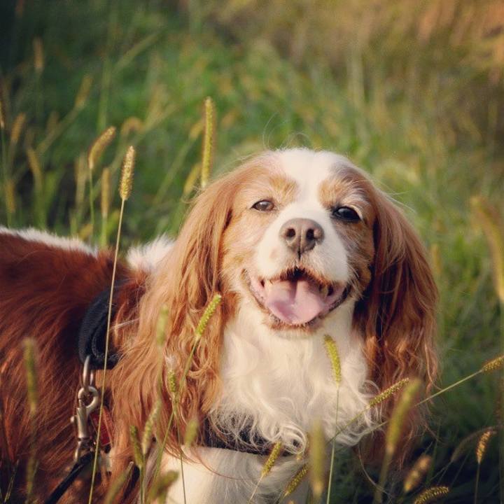 61448d5f 753c 416a b038 535d874a7247 1697066959687