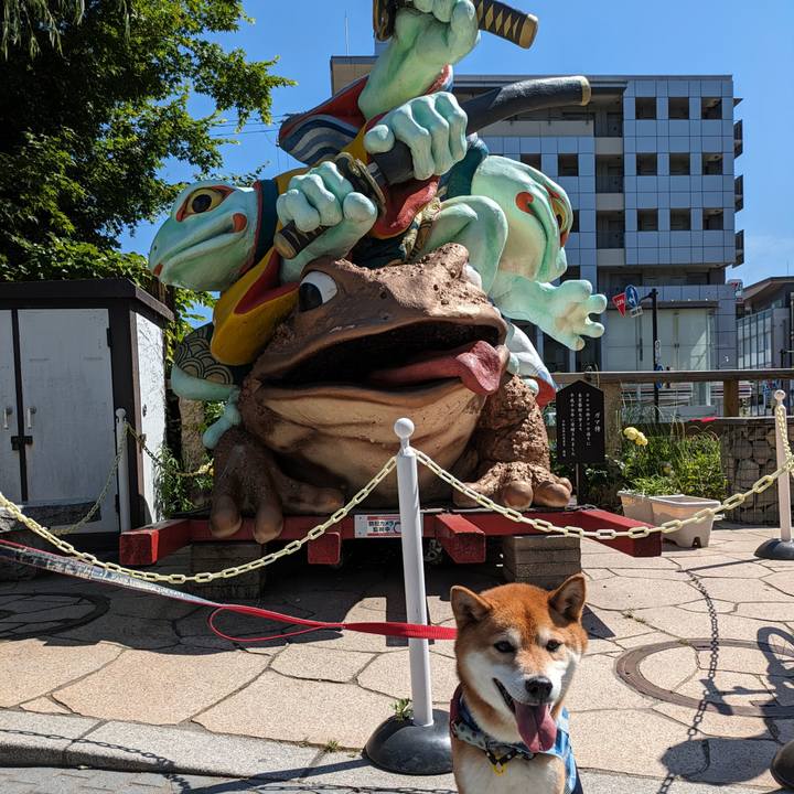 6144a78e 5cb2 4b1b 87d4 2f8658c83904 1716760714267