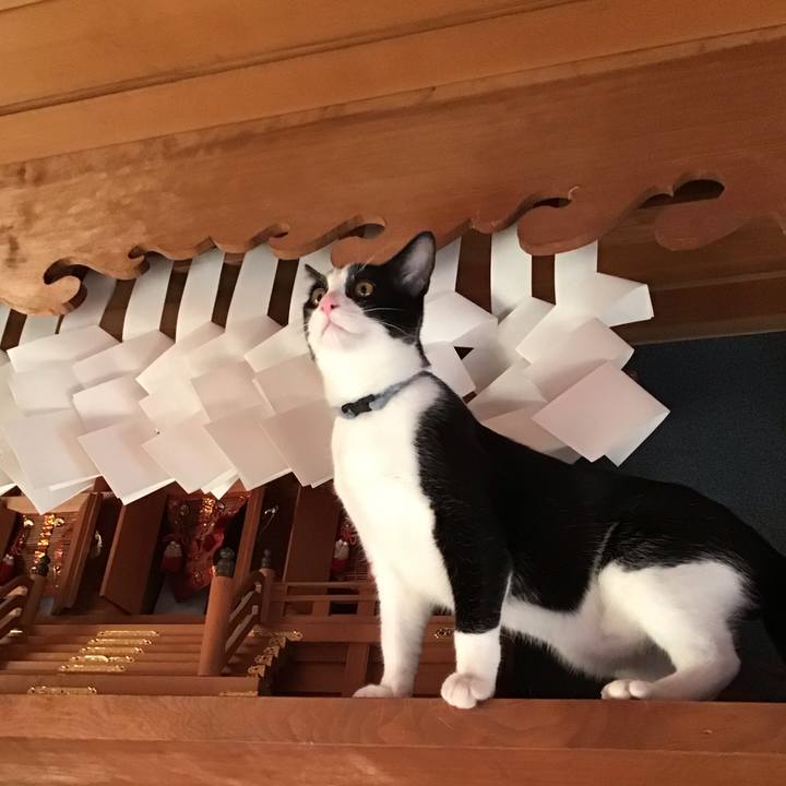 6144e9a9 ac86 4846 ac3c 8bbbbf061613 1635581791979