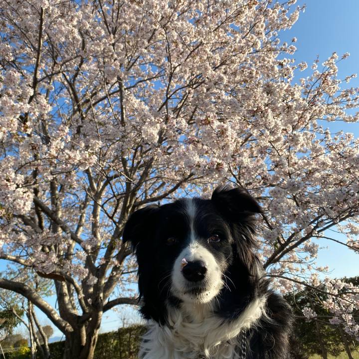 6145350f 8eed 46a8 ade8 9eac27e90e71 1649116946809