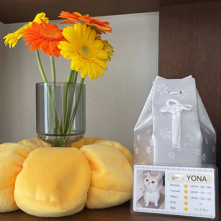 61453f5e f2e1 4491 874c 7349e042d57d 1768478219212