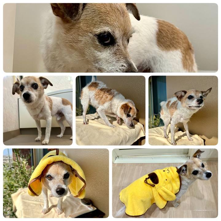 61456067 42af 45c7 936c 0af1e1b3674a 1678413605303