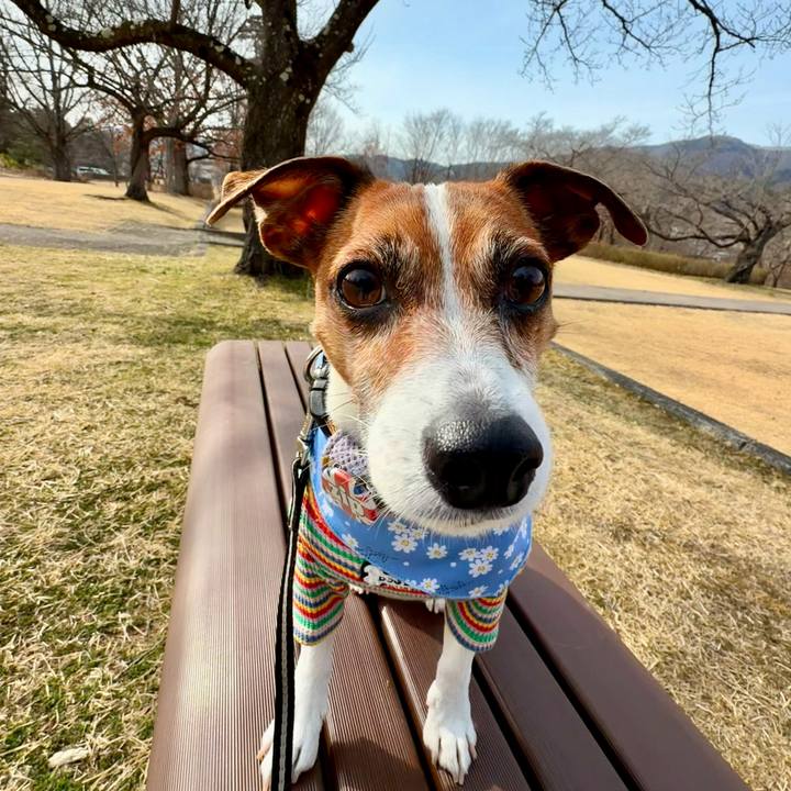 6145995e aacf 41b9 aa9f 77b9d489e757 1772522823769