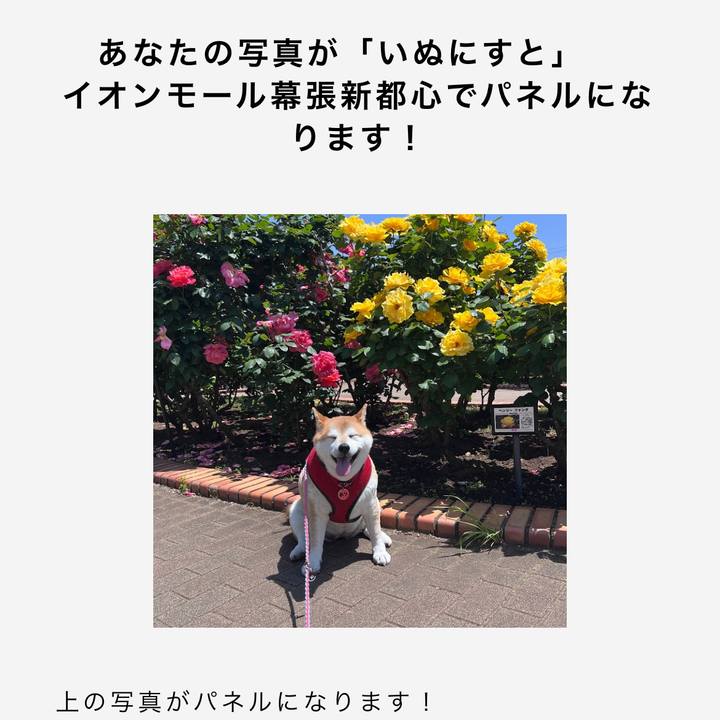 6145c726 3458 49b6 b8c0 97784fa20b26 1724728498152