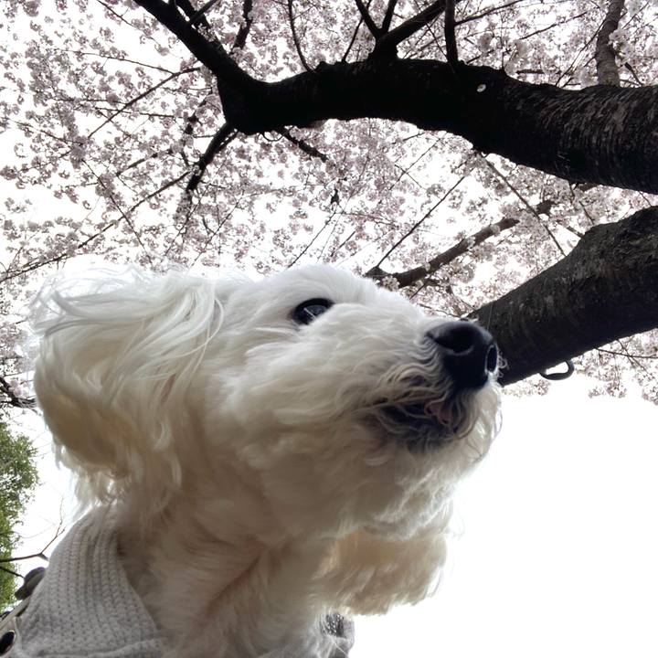 6145f646 f874 49b9 8584 1d67a2b44674 1648976209796