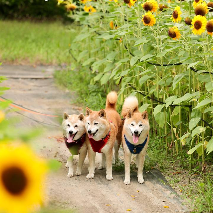 6145fc88 2d5b 4eb2 bef7 3c346ddbff17 1751984251844