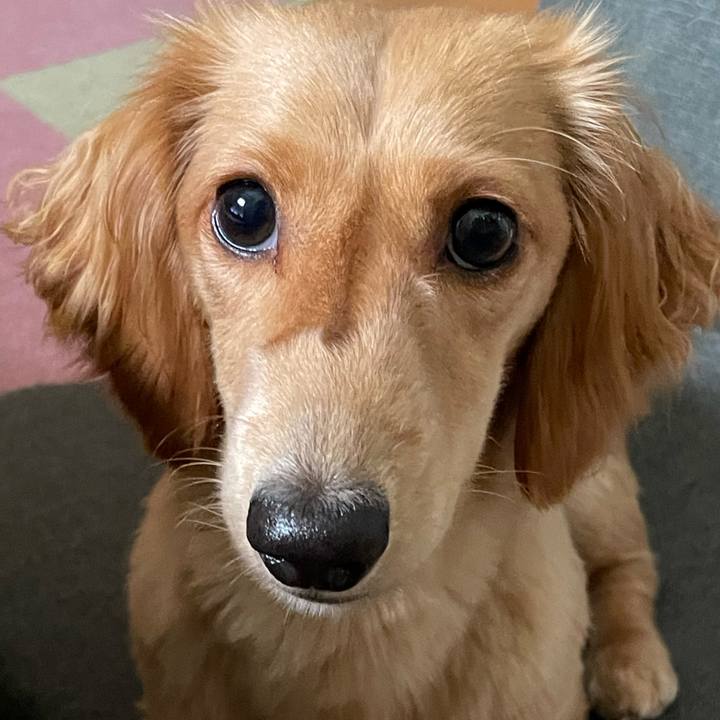 61461654 6fea 4477 8d96 4f6984052d60 1692182431158