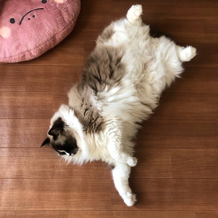 61463386 41fd 4106 b645 6f936e6e6036 1551829360626