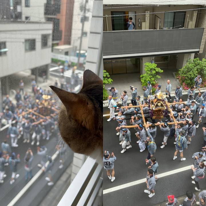 6146455f 63a8 48f6 b8ab aed72fa653ef 1683945877369