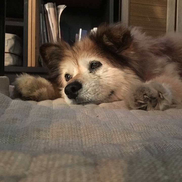 614660f7 eb7f 4094 8824 8dd550322cde 1607173570095