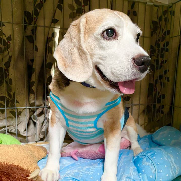 61467ef5 97ff 4a91 aa1a 8051b4a676f8 1628739929397