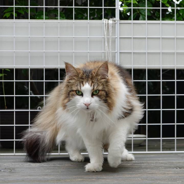 61468425 d497 45d6 afac 330a2265e1d8 1686038646154