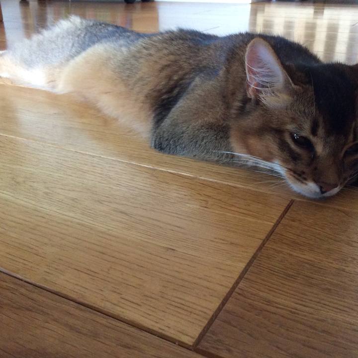 61468796 f929 4099 ab62 a618b2191385 1564525835789