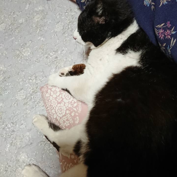 61468b03 36fd 4b36 8c22 2d6dab6c3fc9 1651057010040