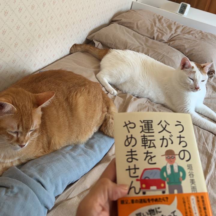 6146bead 3192 41b7 b5ef da72e0d92e5a 1692660840794