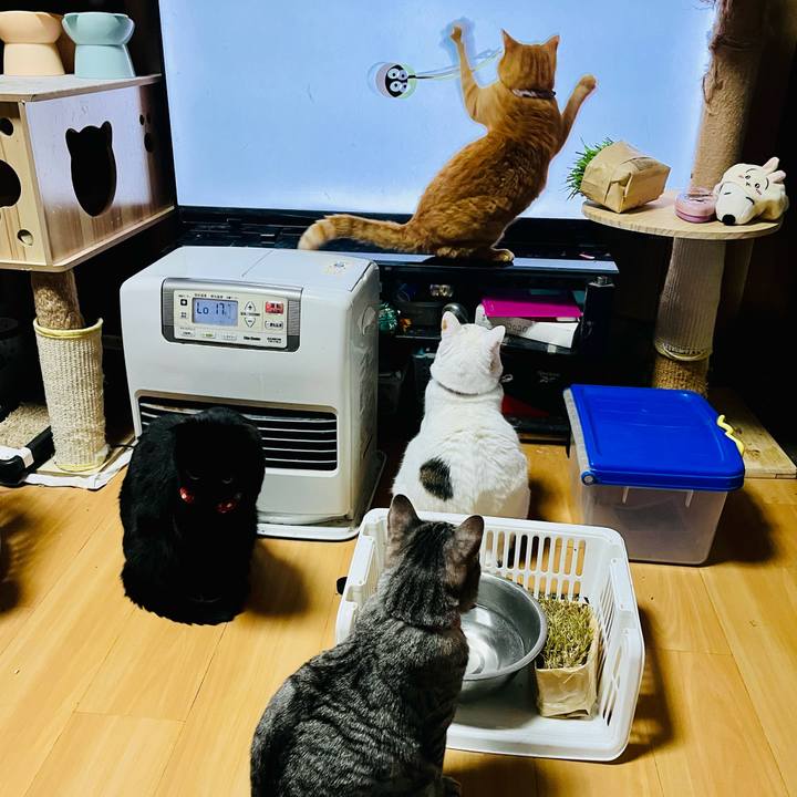 6146e363 b4e3 4a9f 95d7 e67cdb8019fe 1772276895849