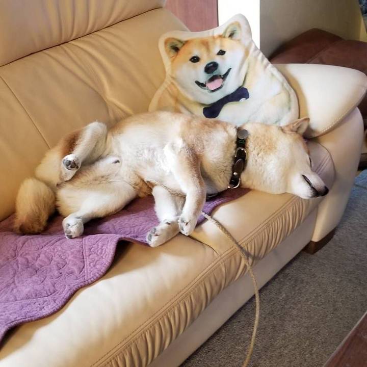 61470f2c 9abe 40ea 8240 253fc8a558d3 1526174408249