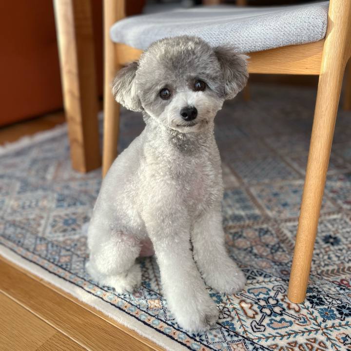 6147130a 7ea6 485e a957 80405a398e5d 1763102827712