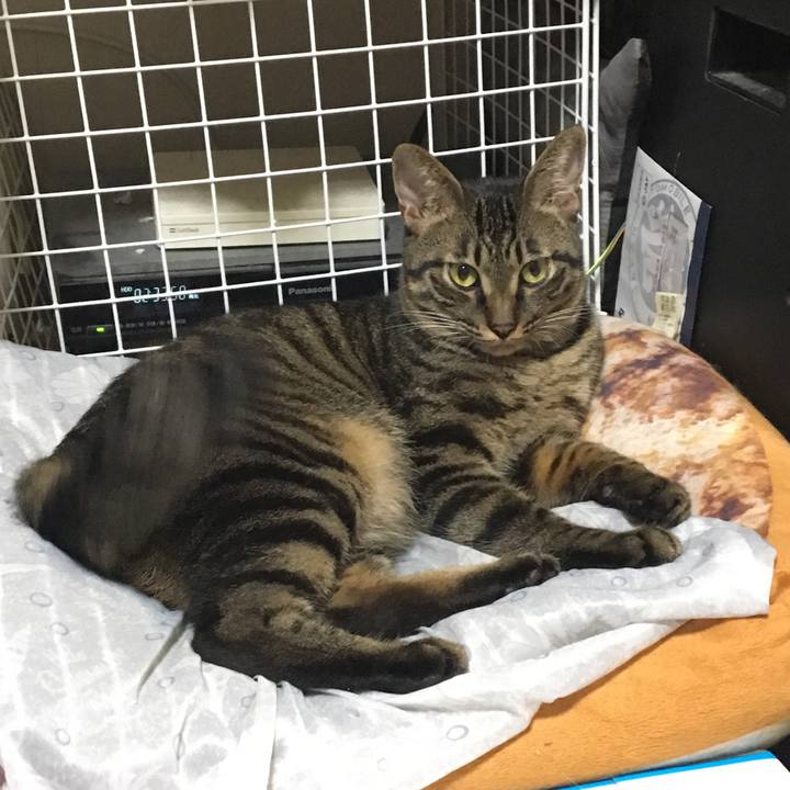 6147345a 4296 4e2c 817c b7ca082b0cd7 1563862654808