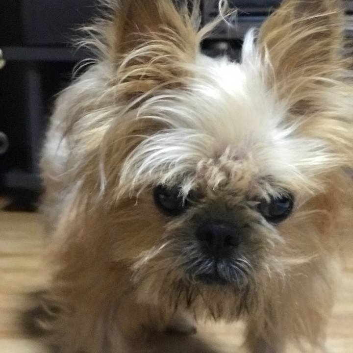 614748be 3652 4ecc a3c5 91f072d2b67e 1569404773480