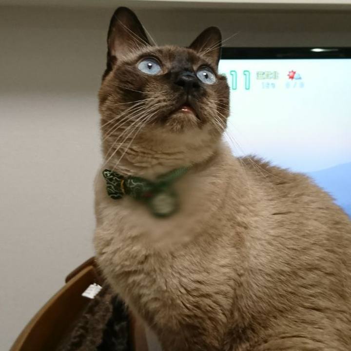 61476438 49ba 48d2 acc7 aace5a3053ec 1510176283297