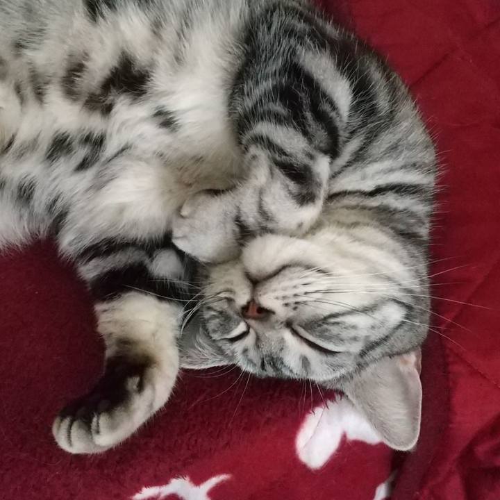 61477ec5 680c 4eee 8e0c c157daf92478 1614502178401