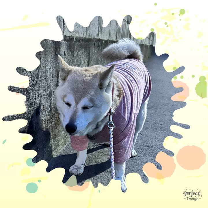 61479724 be8c 4bab b7f7 a67dc1cae49a 1748041036552