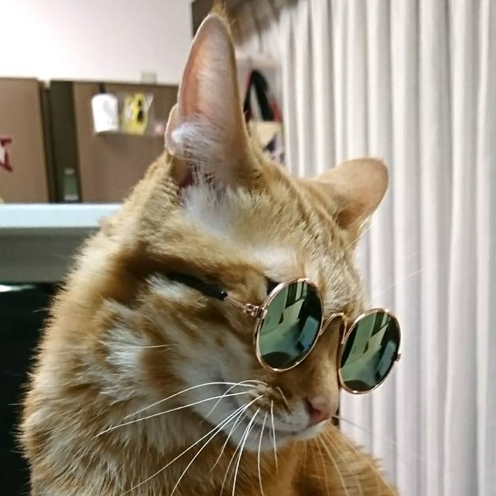 6147af08 6bf9 4e7e bb4b c0d97798654e 1553771565870