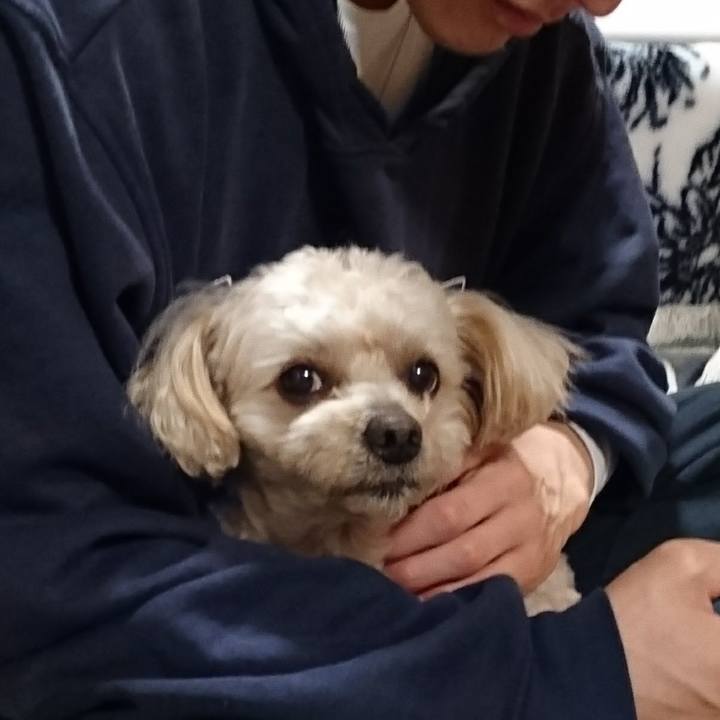 6147bcce c9e9 41f7 ac80 777154190b2a 1583924949497