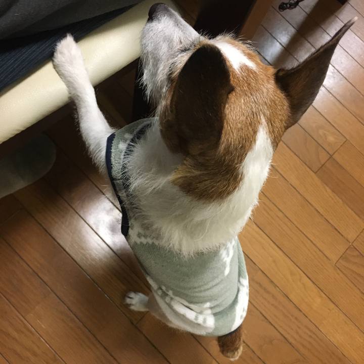 6147f3b0 1d6c 4fb0 98c9 4fa1ec89d676 1647386605151