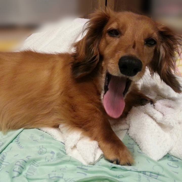 614818c6 7758 445b 97e9 4584a8aaedb6 1520421841927