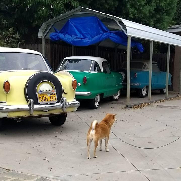 61483e07 d0f1 4ad2 b639 4acb95eebd6e 1509662997791