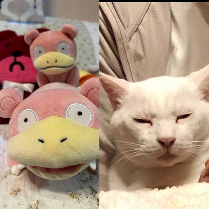 614845c2 2743 4b12 96d6 e0de85183be9 1728251874828