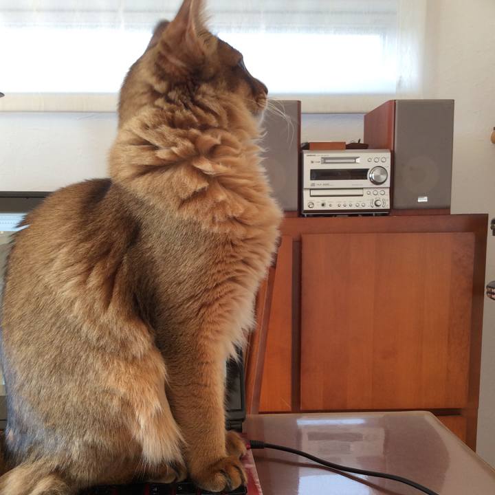 6148596c 8022 42b1 b0f4 7a6a309945a0 1576811938721