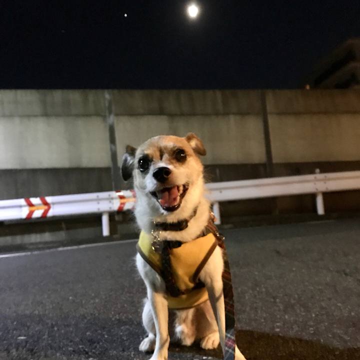 6148618d a174 4f8e 8f8c 4c42ff82d0f8 1598612415480