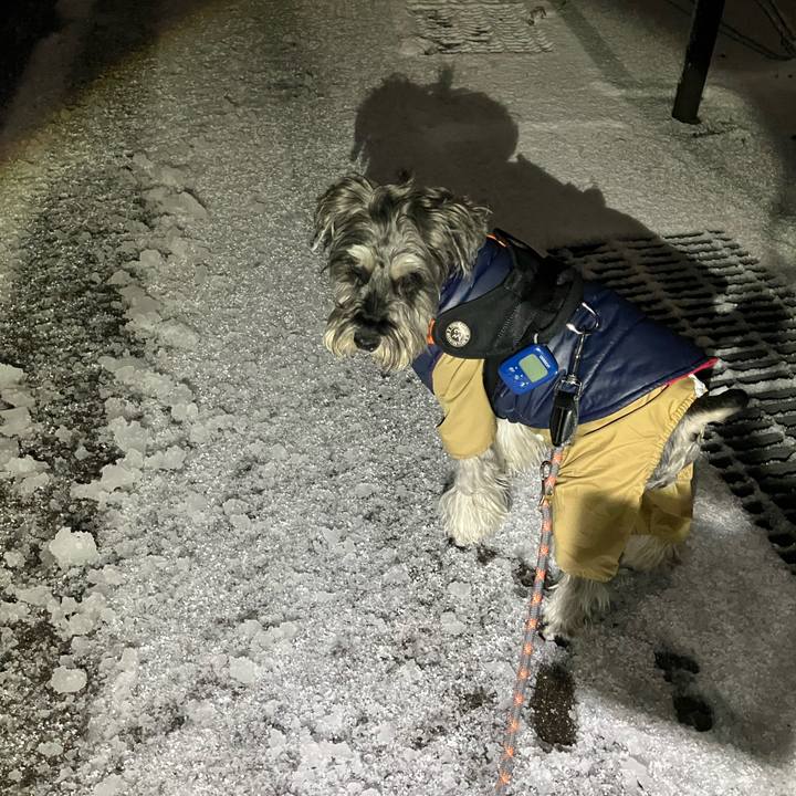 61486424 e424 4d45 9ab9 9f7173b1e3e3 1768139131755