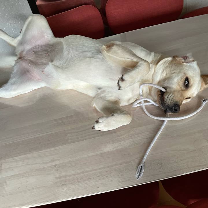 6148a0cc cbbd 49a5 af39 cf6df944344d 1660090770699