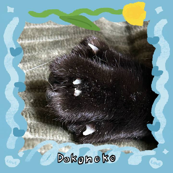 6148d9be a469 4e1d a1d0 2da5cf27ba1f 1771891327708