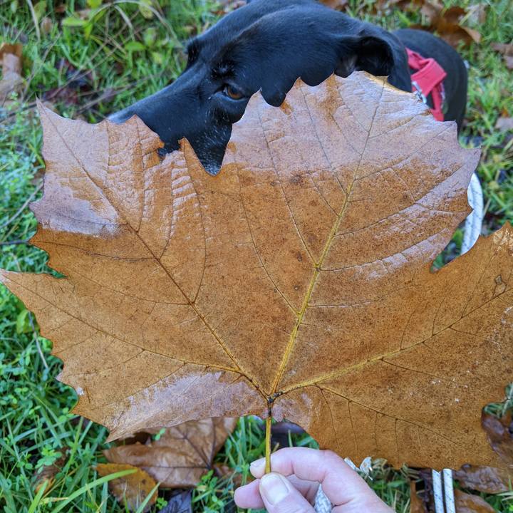 6148ffae da8e 4764 bd5d 16eaa768324f 1669251517085