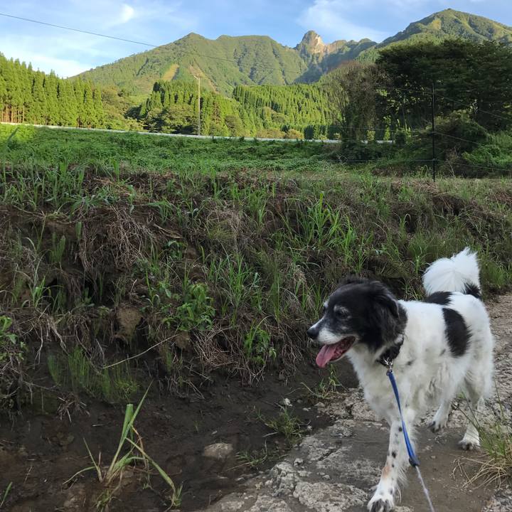 614908c6 9a0a 4b0e a08c c1c5770ac82e 1533813282289