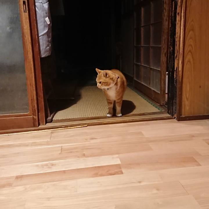 61490ae1 6535 4a03 a5a7 63b54d0d7446 1607420040127