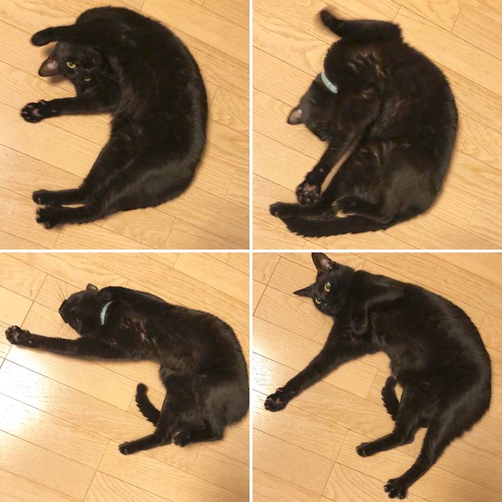 61491d94 ac71 4f68 a90c a6253f46ce17 1582197367073