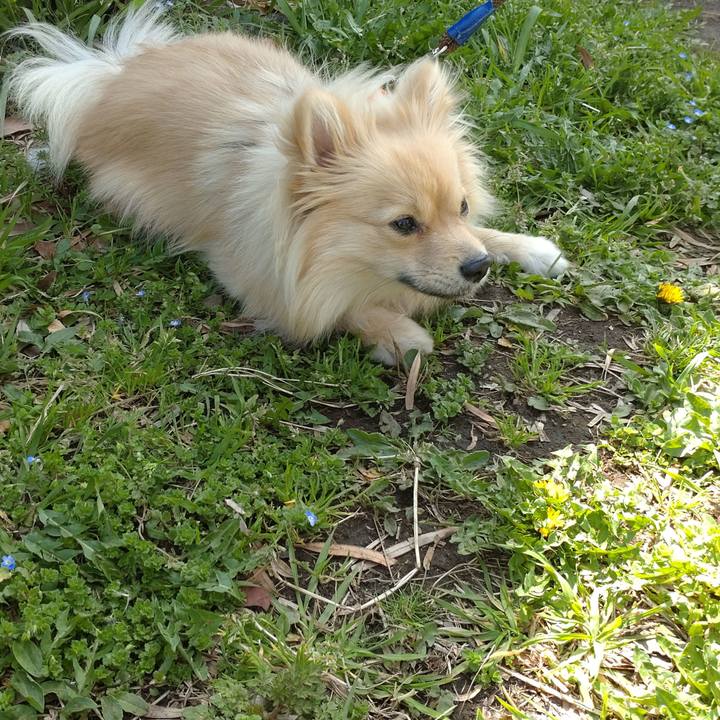 614921a6 dfff 43ba 91b9 cbcaddf2c834 1743043753193