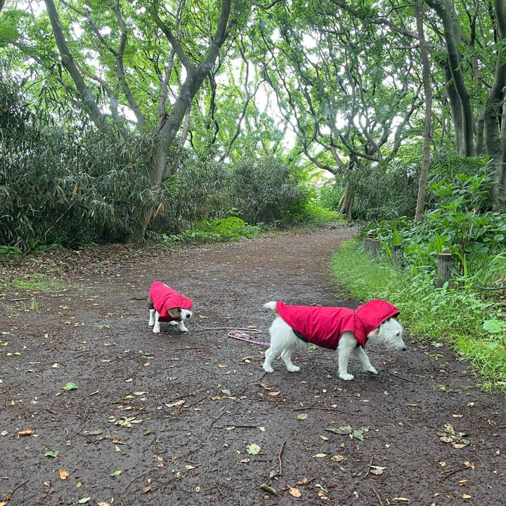 61496750 0edb 40f0 8191 1d0af4f91eb2 1748128105827