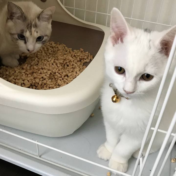 614973c8 7805 4552 9f22 1bf32cf3edb7 1510031144031