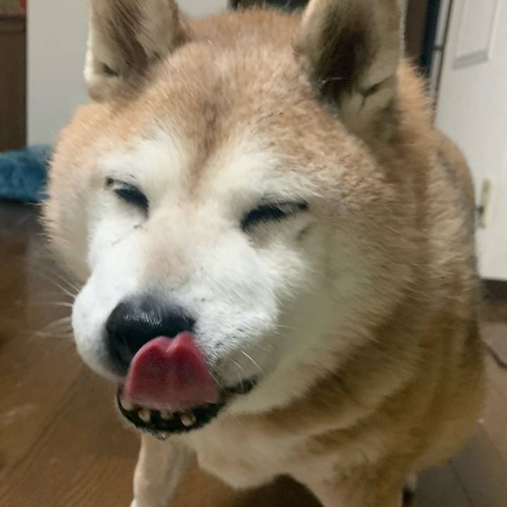 6149a590 5f41 4bb7 8fda 0692c2dcbb31 1641856085412